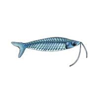 www.planetcatfish.com