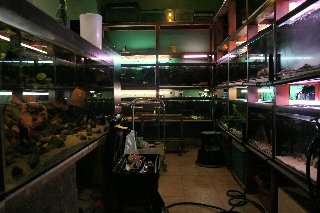 Looking down the fishroom, 1/3 in.