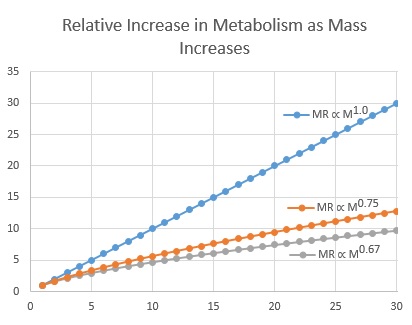 metab.jpg