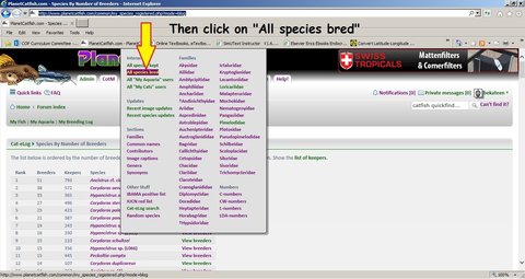 list of breeders.jpg