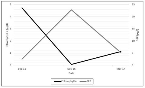 Line plot illustrating temporal dynamics of chlorophyll-a and SRP