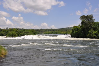Rapids at the falls