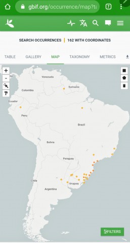 M. cottoides distribution (GBIF)