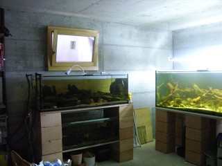 window above tanks shelf