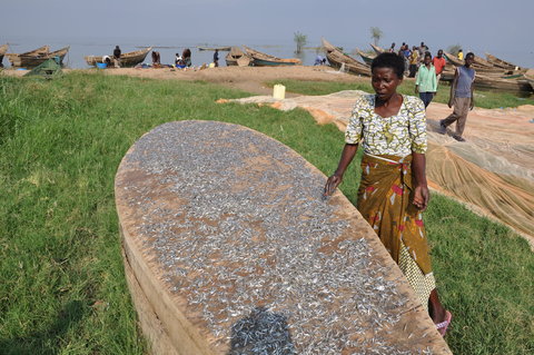 Drying the catch