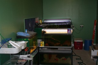 Fishroom with tanks