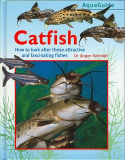 Aquaguide: Catfish
