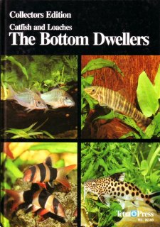 The Bottom Dwellers (Catfishes and Loaches)