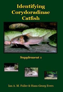 Identifying Corydoradinae Catfish Supplement 1