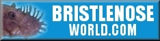 BristlenoseWorld.com