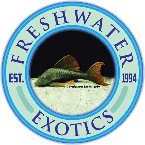 Freshwater Exotics