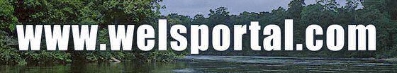 www.welsportal.com