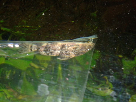 20120811_140216.jpg