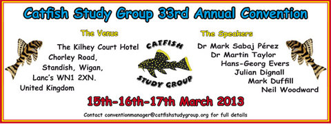 CSG Convention 2013 banner