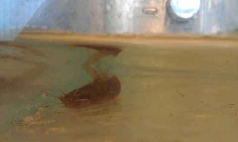IMAG0301.jpg