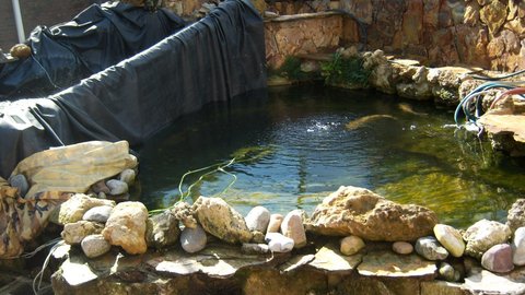 Temp ponds 2.jpg