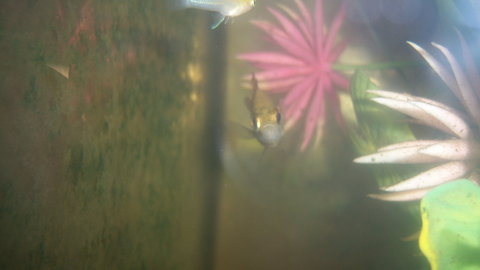 100_4582.JPG