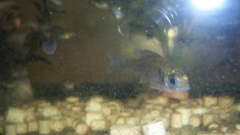 100_4588.JPG