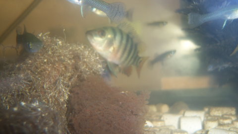 100_4595.JPG