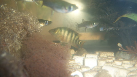 100_4599.JPG