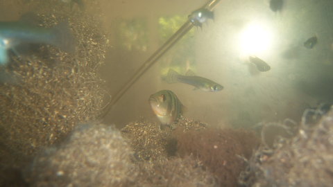 100_4601.JPG