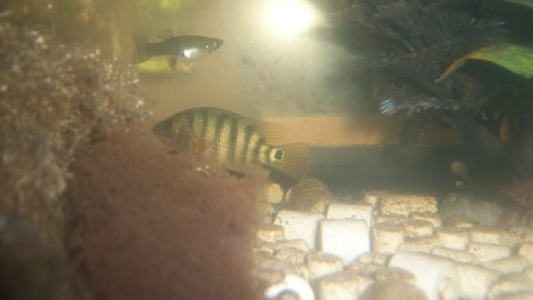 100_4603.JPG