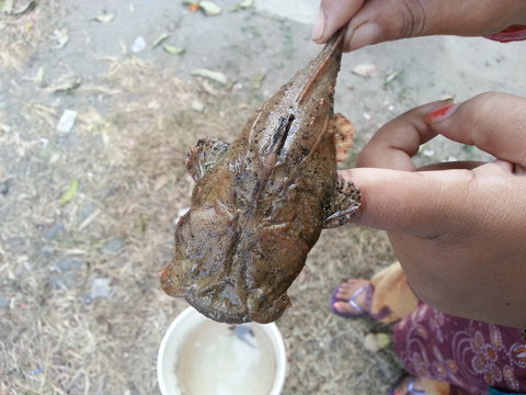 20121125_140912.jpg