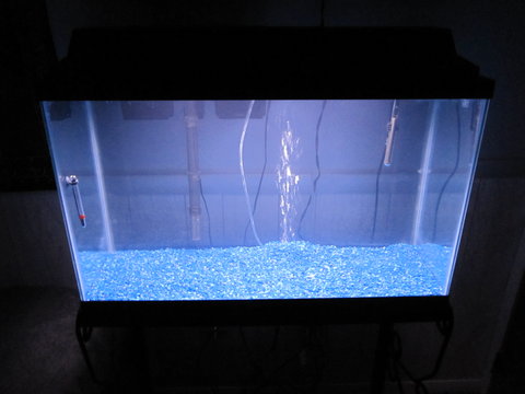 29 gallon light on