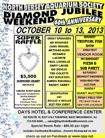 SIXTY-FLYER-111.jpg