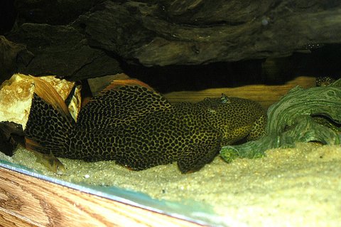 IMG_20130202_221807.jpg