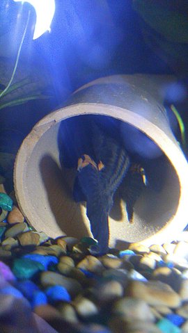 IMG_20130204_223338.jpg