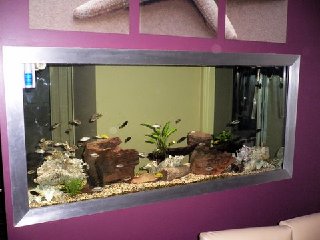 fish 094.jpg