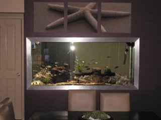fish 104.jpg