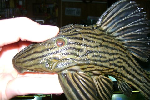 DSC01636.JPG