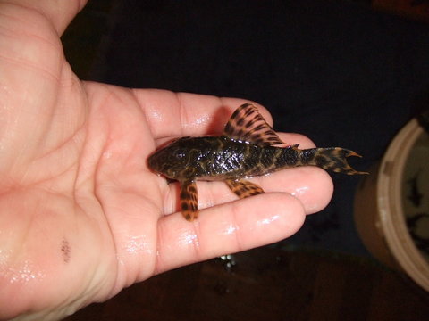 2013_04090063.JPG