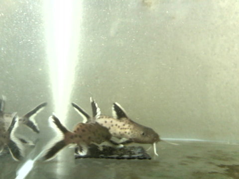 IMG050.jpg
