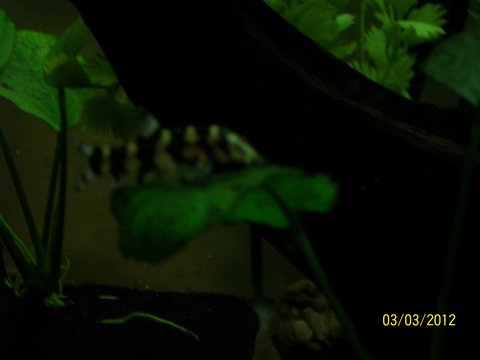 100_3425.JPG