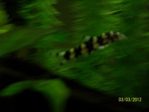 100_3426.JPG