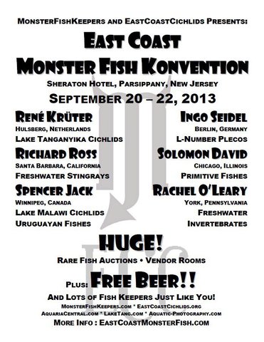 Konvention Banner.jpg