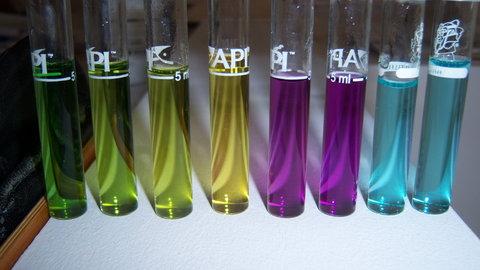 NH3 and NO2 tests - 3.JPG