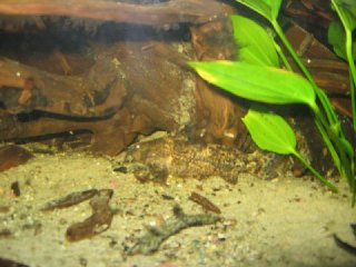 IMG_2816.jpg