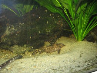 IMG_2817.jpg