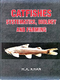 Catfishes.jpg