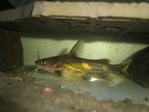 PB161306.JPG