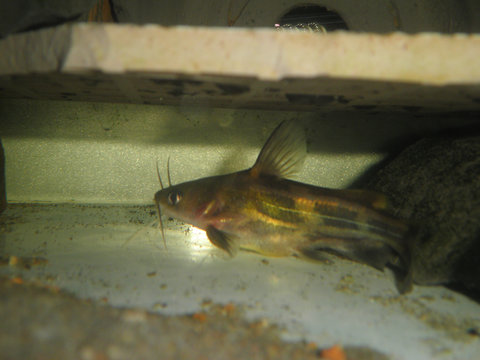 PB221323.JPG