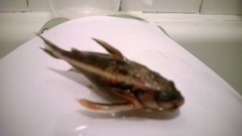 WP_20131223_002.jpg