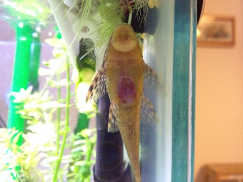 2014-01-11 18.29.14.jpg