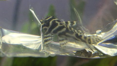 DSCF2092.JPG