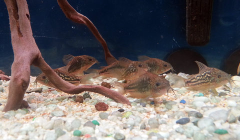 20140225_182701.jpg