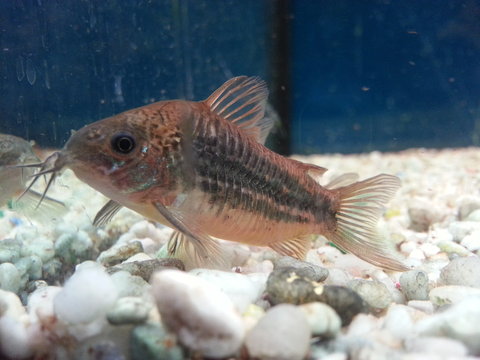 20140224_175547.jpg